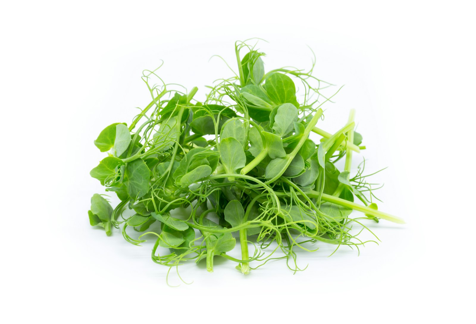 Fresh microgreens
